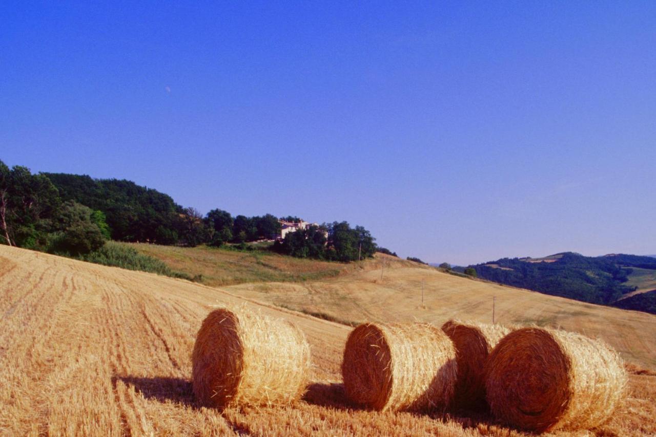Agriturismo Il Fienile Di Ca Battista Cagli Exterior photo